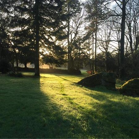 Merveilleux Cottage Dans Parc De 7,5 Hectares Saint-Nicolas-du-Pélem Eksteriør billede